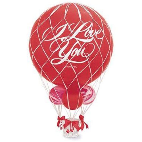 from-BMarket-50601-3ft-balloon-net-500.jpg