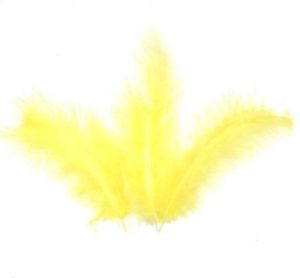 Plumes couleur Jaune ± 100 pcs / ± 10cm / Veertjes