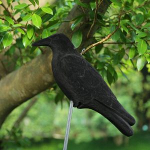 Corbeau en Plastique épouvantail Contre mouettes et Pigeons / Halloween 🎃 – Image 5